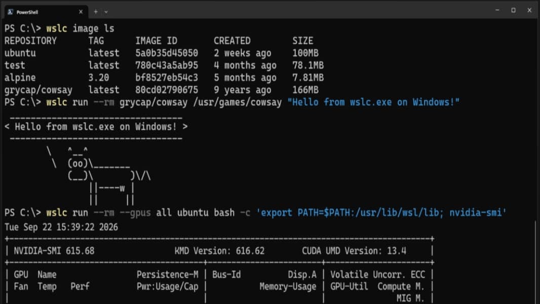 A PowerShell terminal window showing the wslc.exe command line tool listing container images and running a test container on Windows