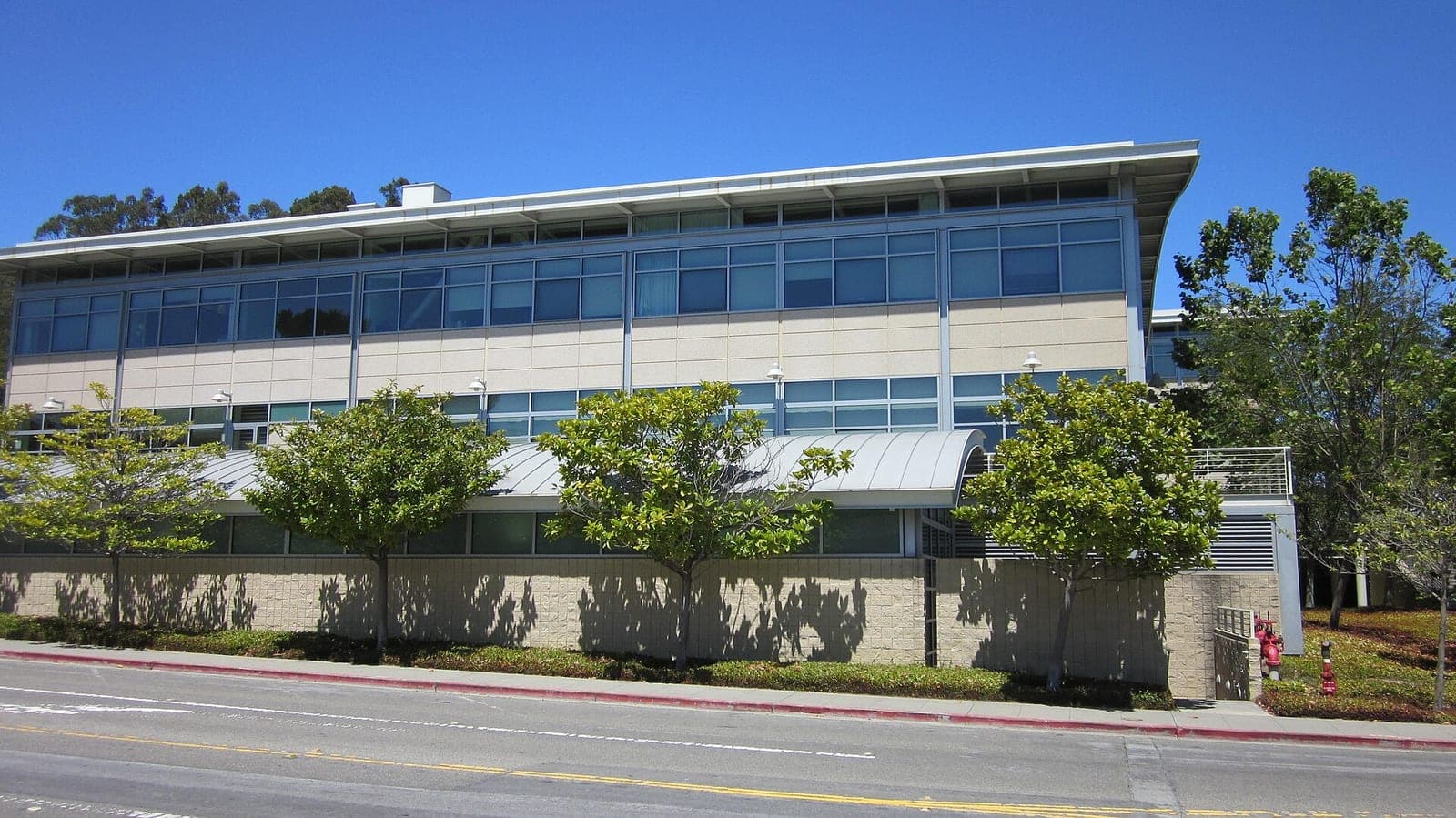 A low office building of YouTube's headquarters in San Bruno, California, behind a row of young trees under a clear blue sky