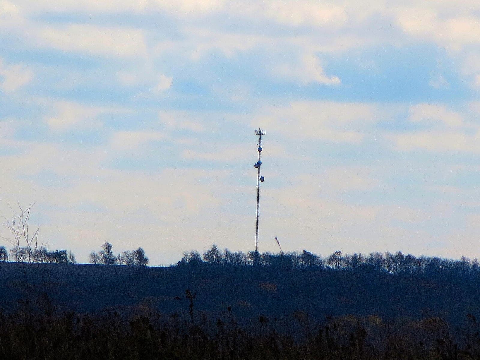 A lone cell tower on a wooded hilltop under a cloudy sky, seen across fields near Dodgeville, Wisconsin