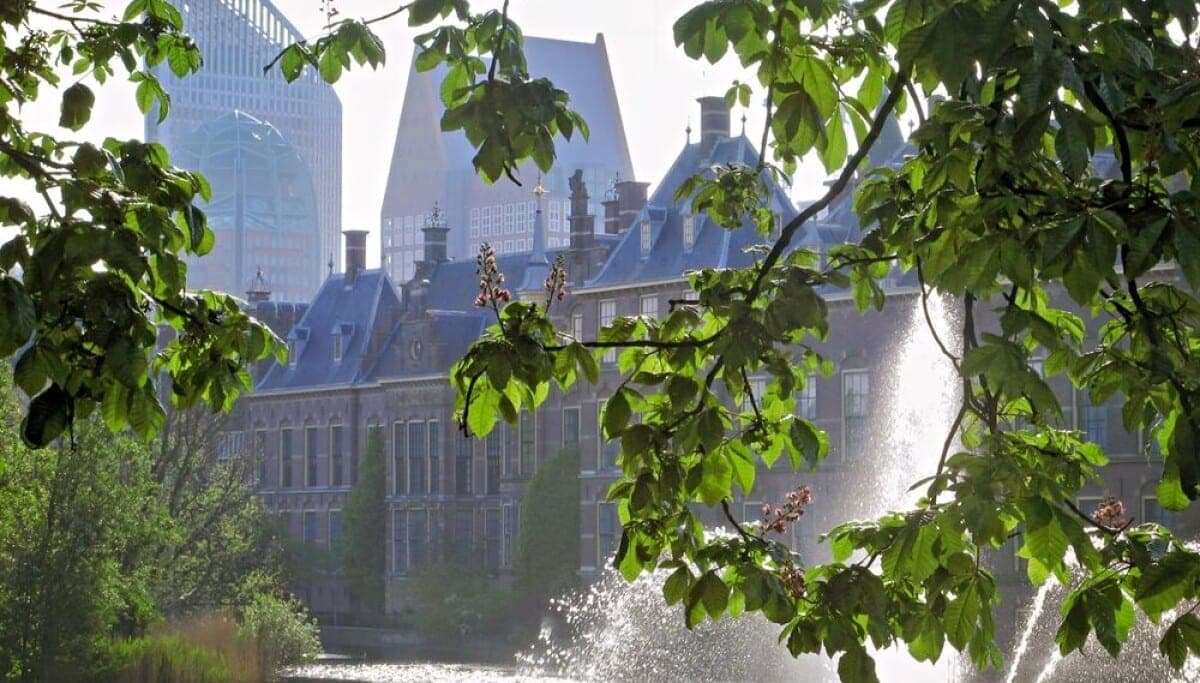 The Binnenhof government complex in The Hague seen through green leaves, with a fountain in the foreground.