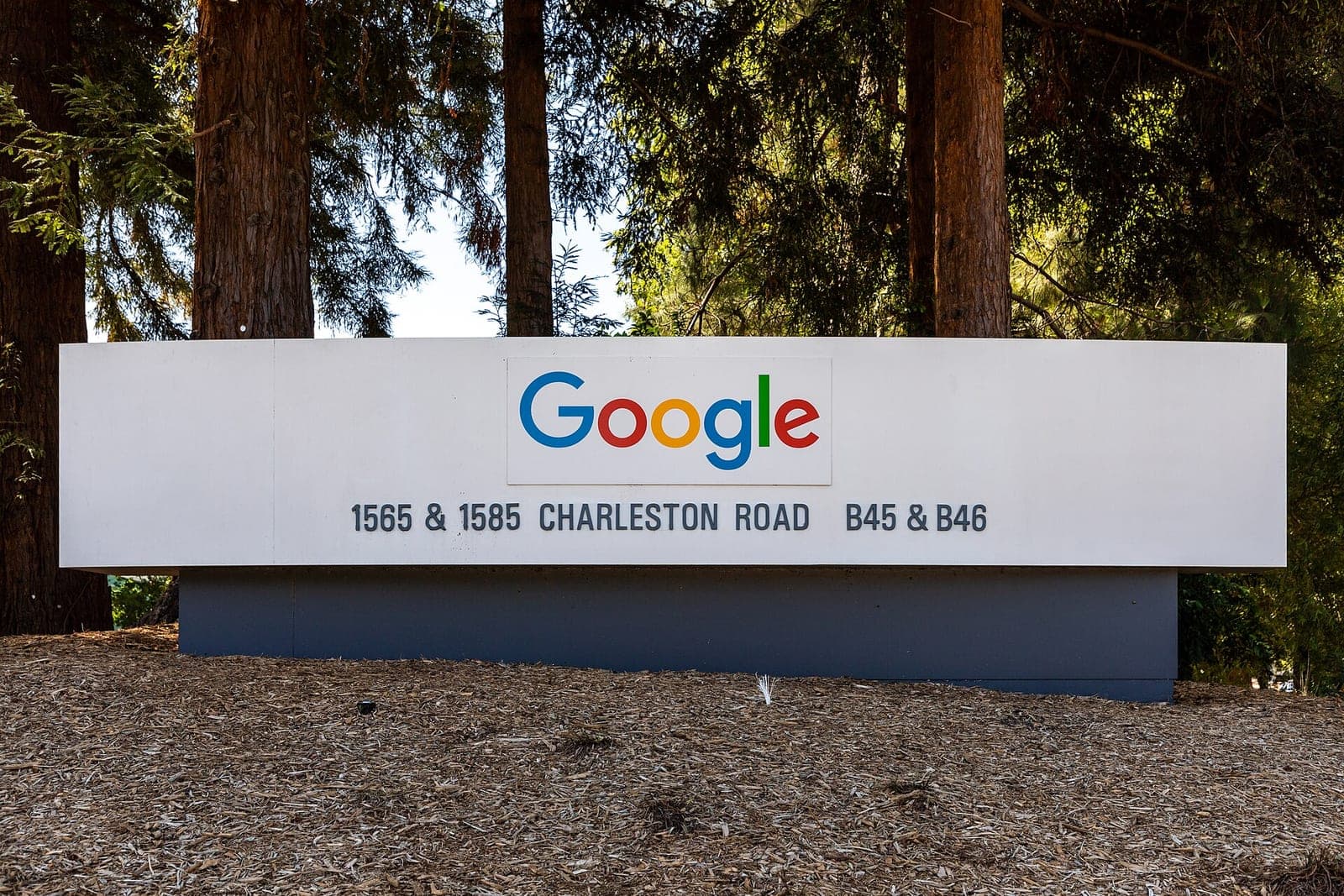 A white Google sign with the company's colorful logo outside office buildings on Charleston Road in Mountain View, California, framed by tall trees