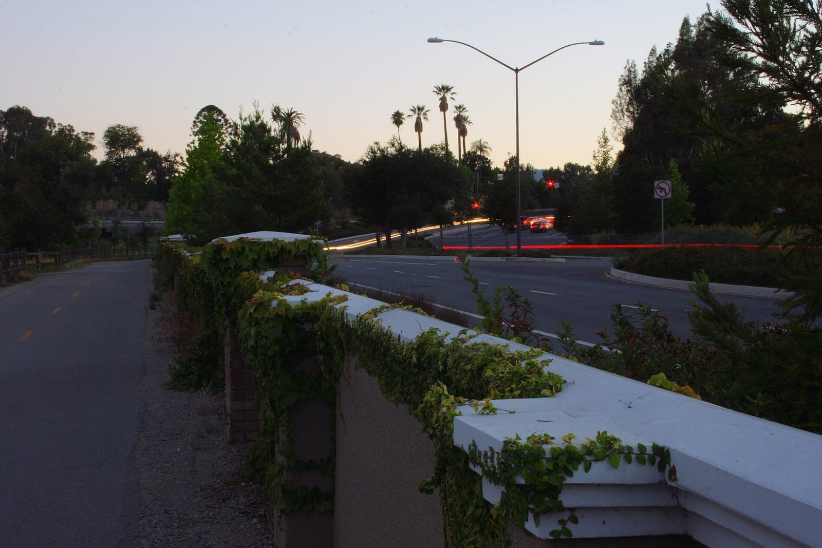 Sand Hill Road in California at dusk with car light trails, palm trees and an ivy-covered wall beside a bike path