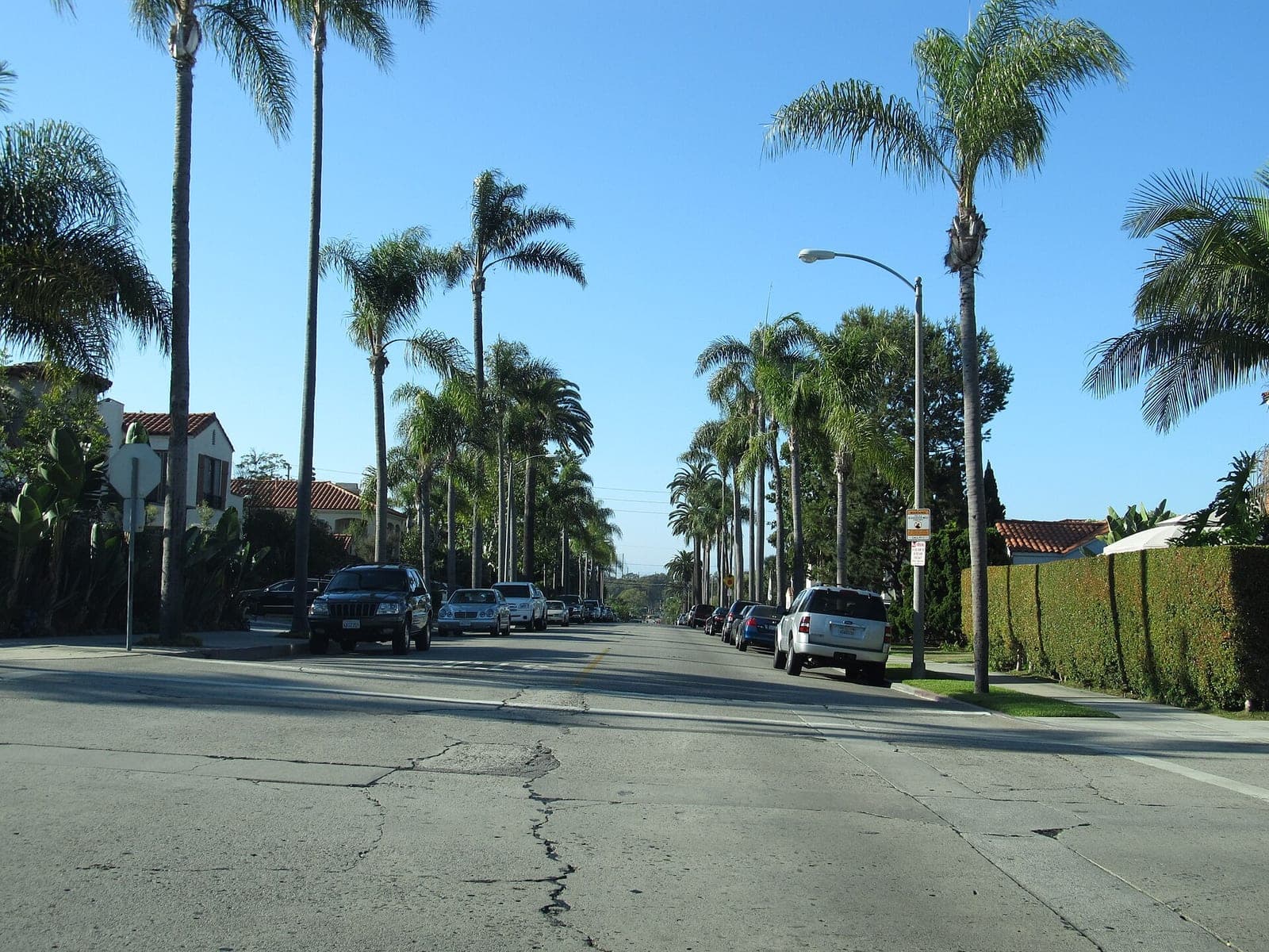 A quiet residential street lined with tall palm trees, Spanish-style houses with red tile roofs and parked cars in the Belmont Heights neighborhood of Long Beach, California